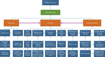 Flower production prospects and <mark class="highlighted">sustainability challenges</mark> in Ethiopia: A systematic review